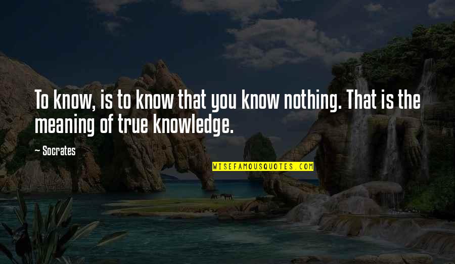 Obladi Quotes By Socrates: To know, is to know that you know