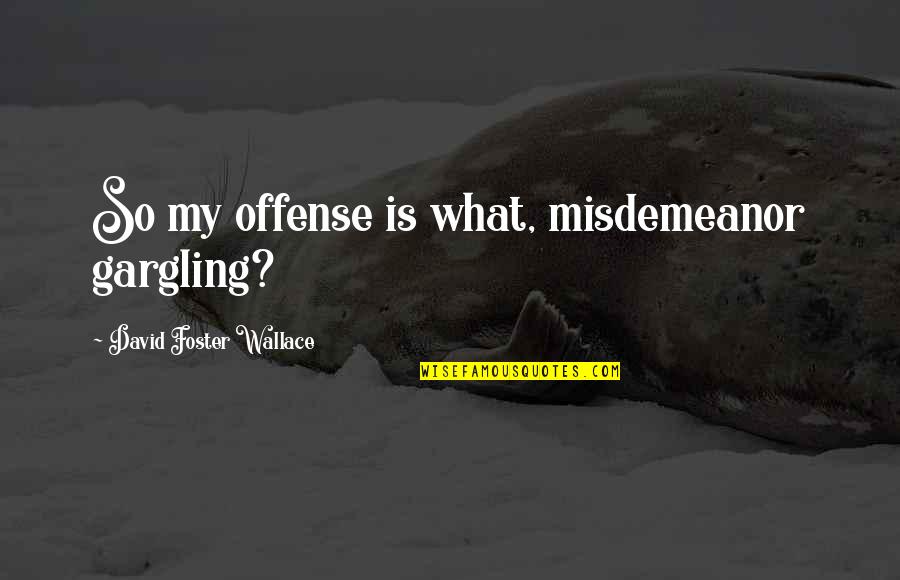 Obligar Conjugation Quotes By David Foster Wallace: So my offense is what, misdemeanor gargling?