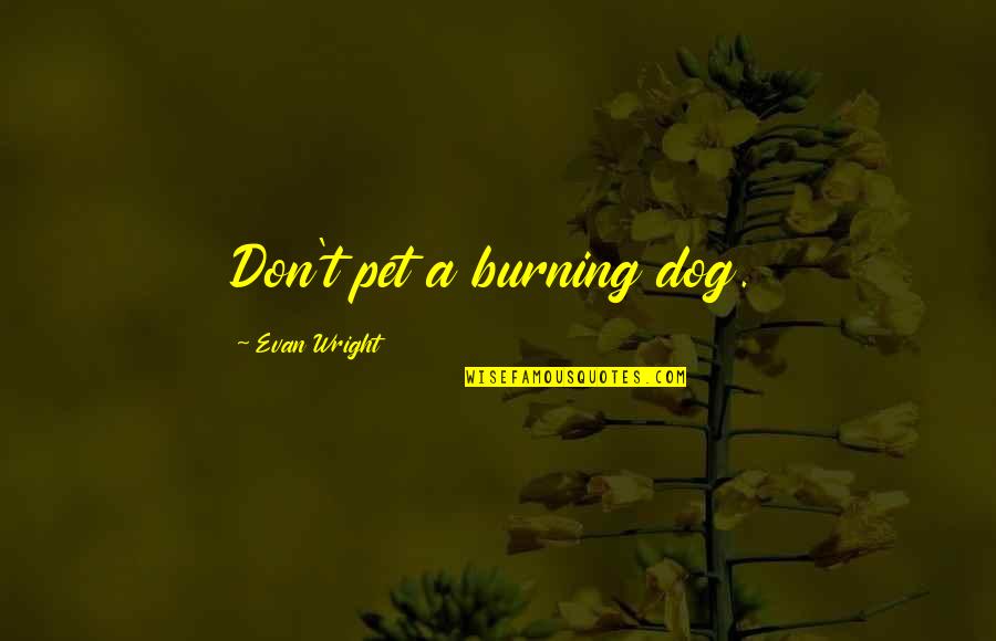 Obliquely Quotes By Evan Wright: Don't pet a burning dog. Obliquely Quotes By Evan Wright: Don't pet a burning dog.