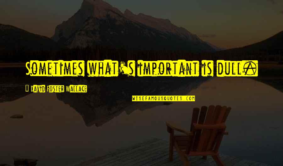 Oblivious Famous Quotes By David Foster Wallace: Sometimes what's important is dull. Oblivious Famous Quotes By David Foster Wallace: Sometimes what's important is dull.