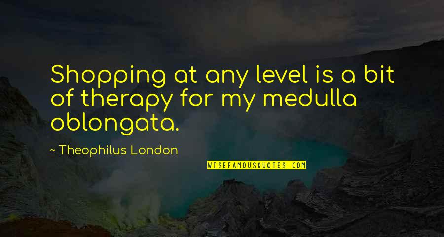 Oblongata Quotes By Theophilus London: Shopping at any level is a bit of