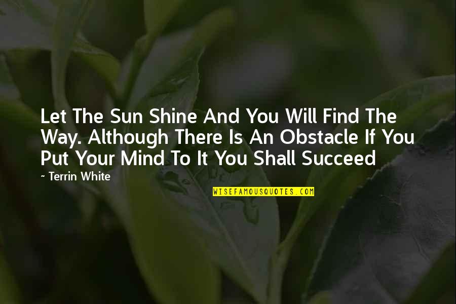 Obnoxiously Quotes By Terrin White: Let The Sun Shine And You Will Find