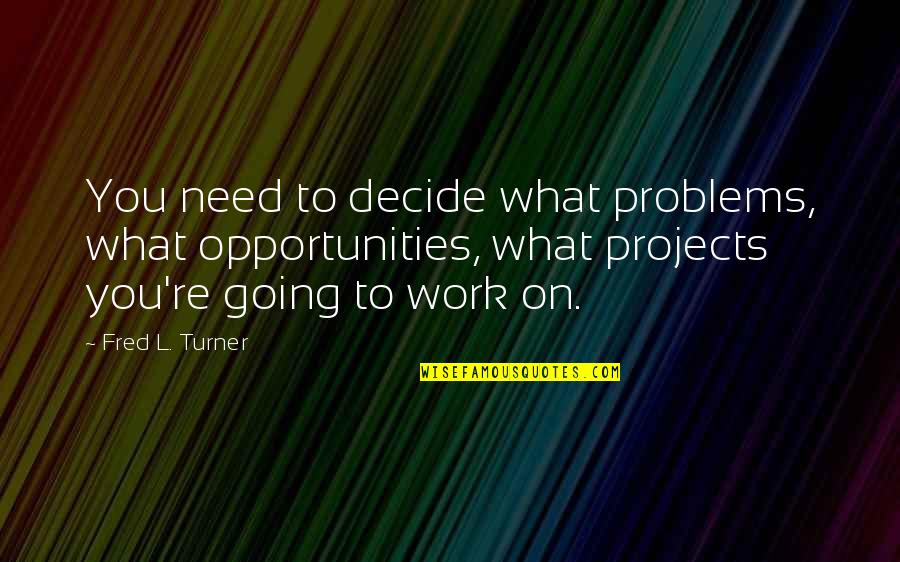 Obojena Revolucija Quotes By Fred L. Turner: You need to decide what problems, what opportunities,