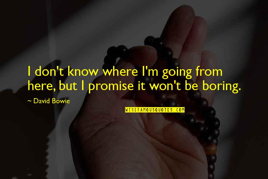 Obras Publicas Quotes By David Bowie: I don't know where I'm going from here,