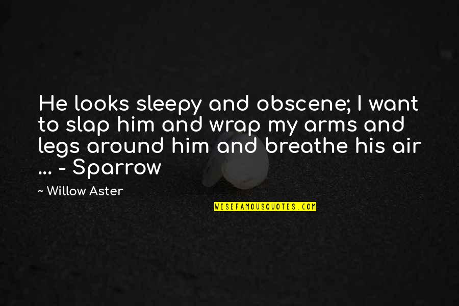 Obscene Quotes By Willow Aster: He looks sleepy and obscene; I want to