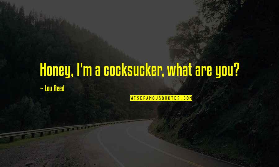 Obsceny Quotes By Lou Reed: Honey, I'm a cocksucker, what are you?