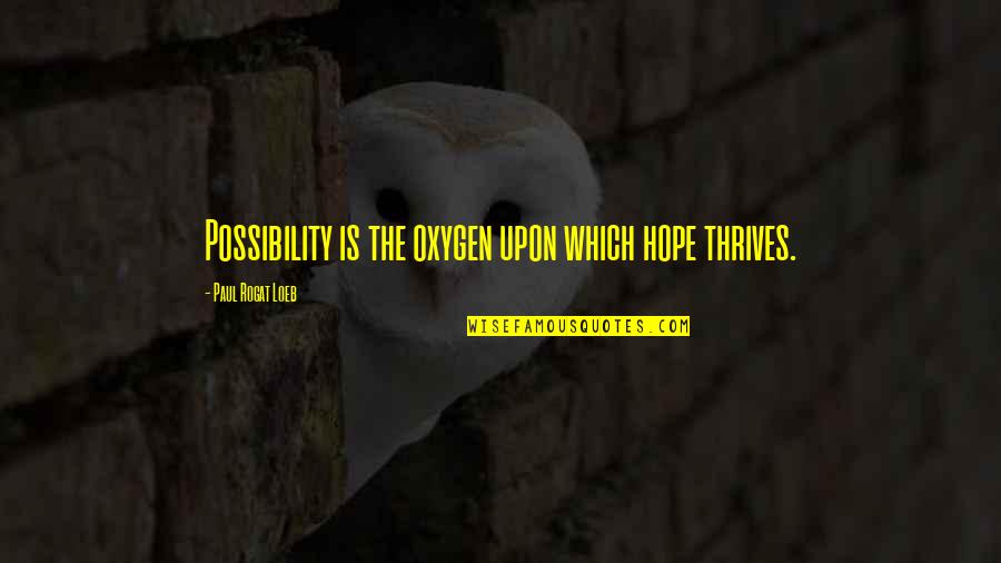 Obscurethe Quotes By Paul Rogat Loeb: Possibility is the oxygen upon which hope thrives.