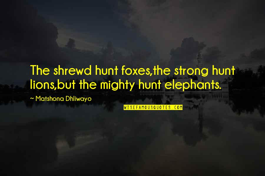 Obsedata Quotes By Matshona Dhliwayo: The shrewd hunt foxes,the strong hunt lions,but the