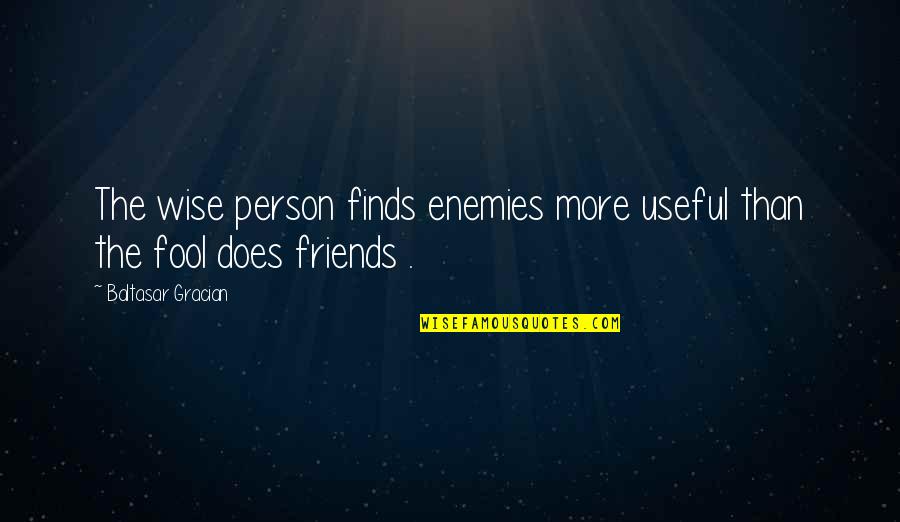 Observable Universe Quotes By Baltasar Gracian: The wise person finds enemies more useful than