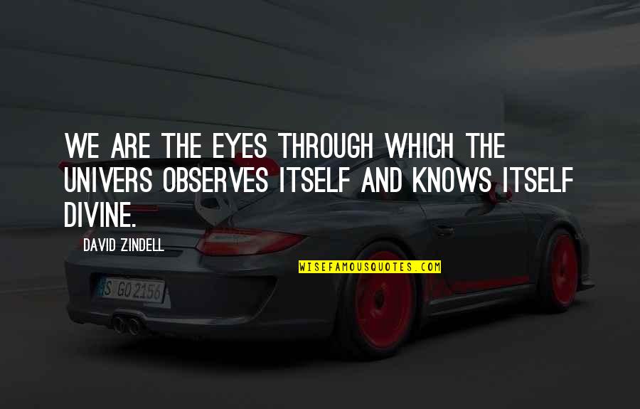 Observes Quotes By David Zindell: We are the eyes through which the Univers
