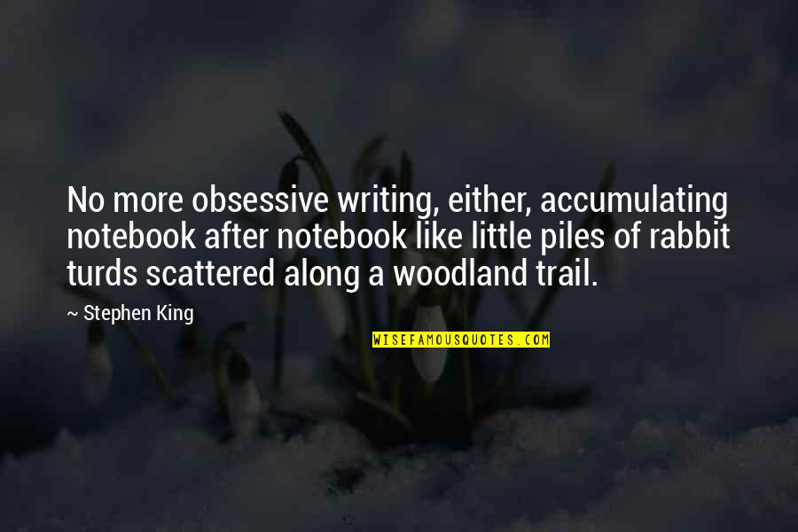 Obsessive Quotes By Stephen King: No more obsessive writing, either, accumulating notebook after