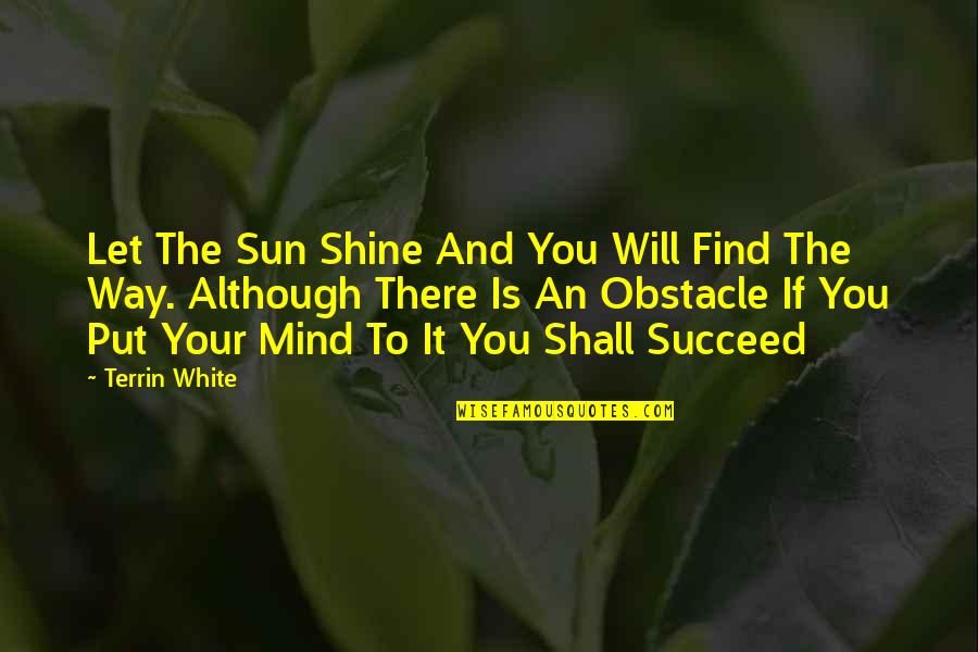 Obstacle Is The Way Quotes By Terrin White: Let The Sun Shine And You Will Find