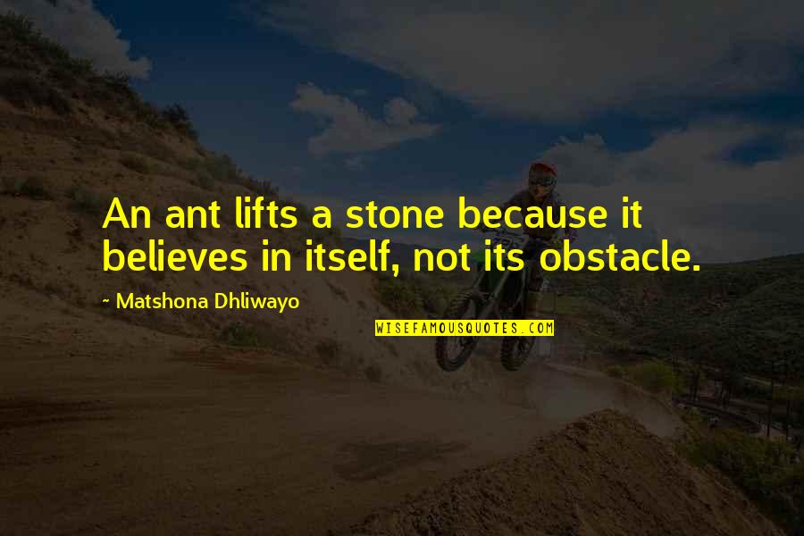 Obstacle Quotes By Matshona Dhliwayo: An ant lifts a stone because it believes