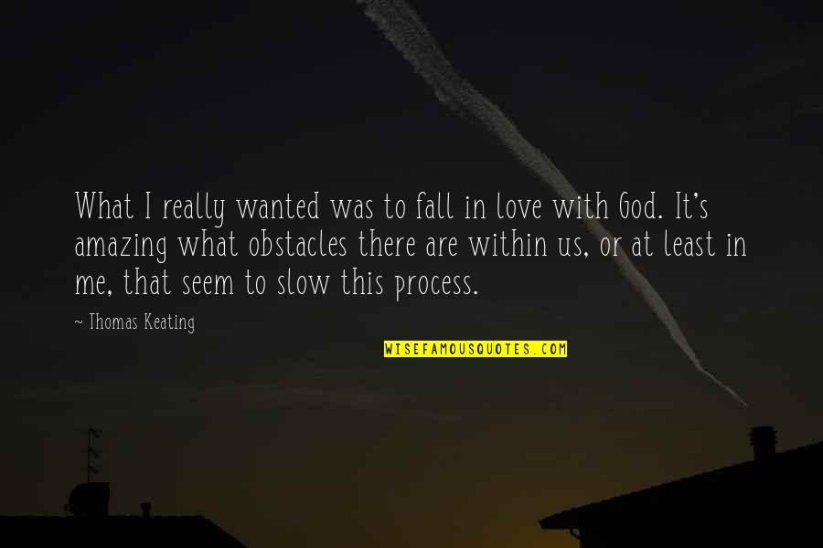 Obstacles In Love Quotes By Thomas Keating: What I really wanted was to fall in Obstacles In Love Quotes By Thomas Keating: What I really wanted was to fall in