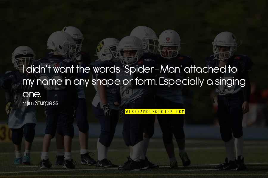 Obstacles In Sports Quotes By Jim Sturgess: I didn't want the words 'Spider-Man' attached to