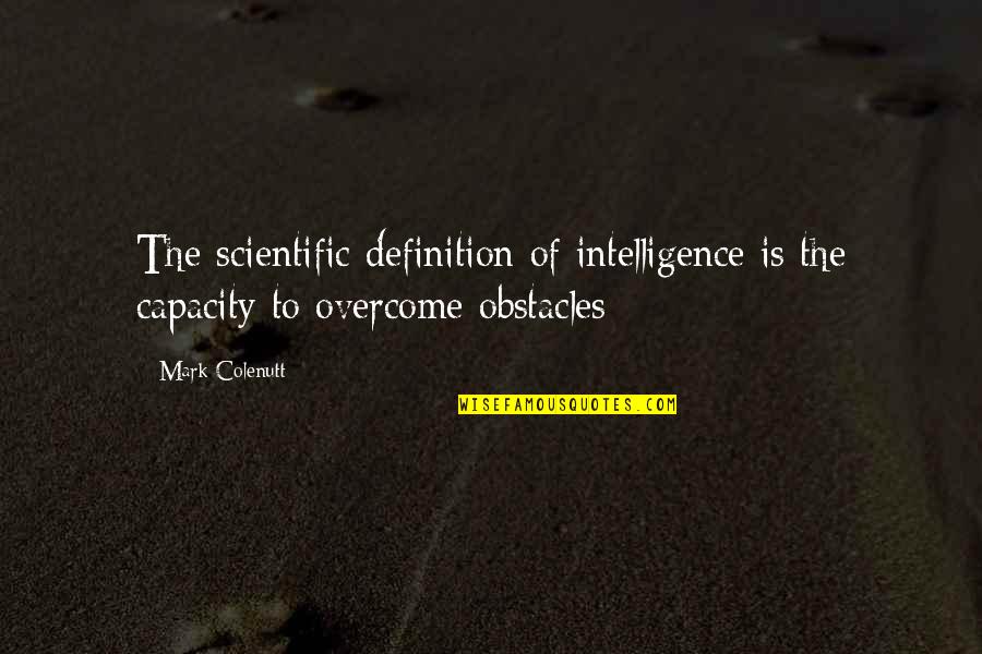 Obstacles Inspirational Quotes By Mark Colenutt: The scientific definition of intelligence is the capacity