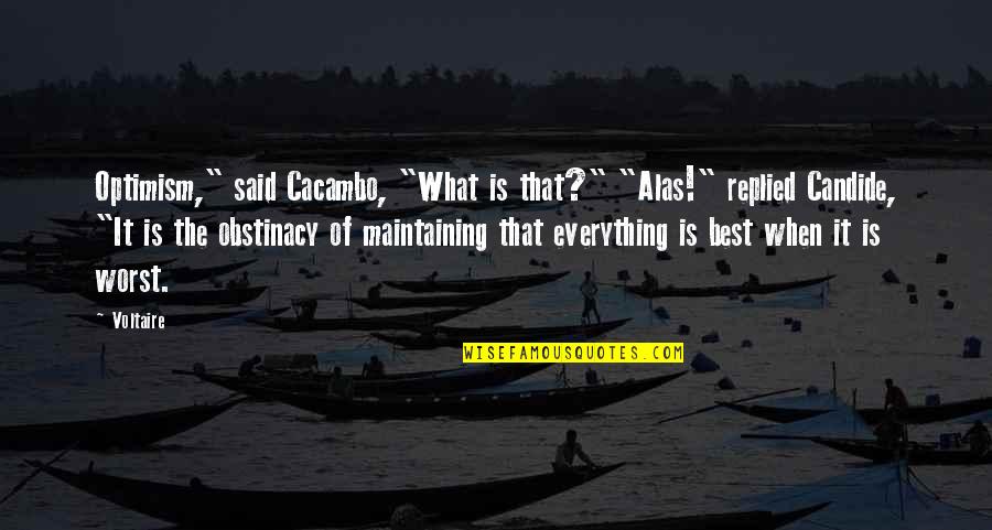 Obstinacy Quotes By Voltaire: Optimism," said Cacambo, "What is that?" "Alas!" replied Obstinacy Quotes By Voltaire: Optimism," said Cacambo, "What is that?" "Alas!" replied