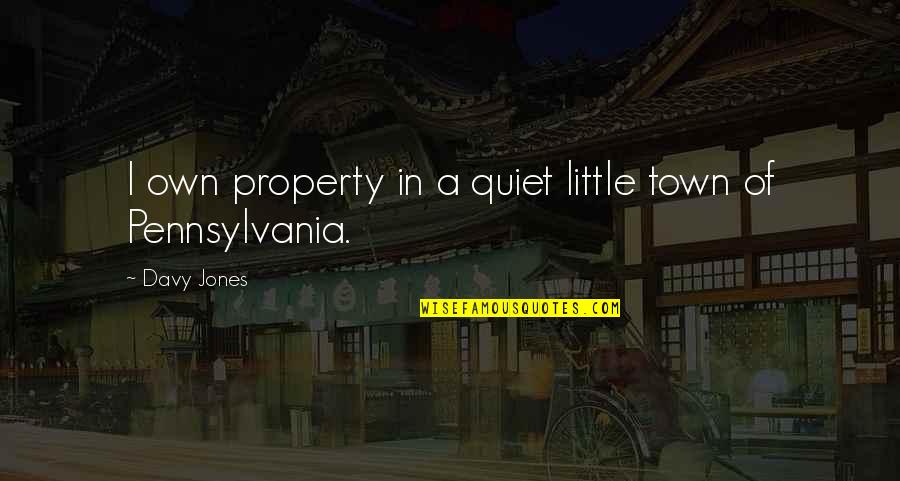 Obtaining Justice Quotes By Davy Jones: I own property in a quiet little town