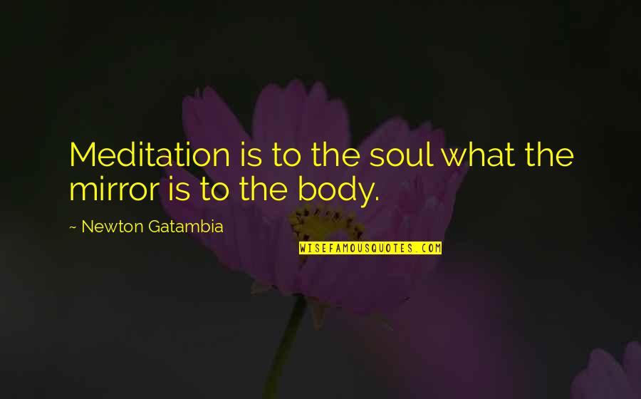 Ocassionally Quotes By Newton Gatambia: Meditation is to the soul what the mirror