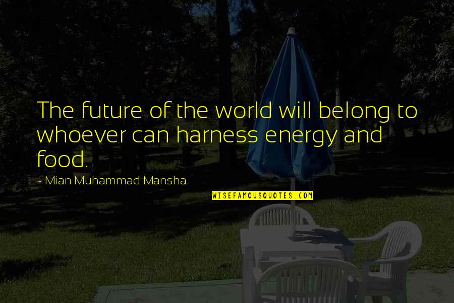 Occipital Lymph Quotes By Mian Muhammad Mansha: The future of the world will belong to