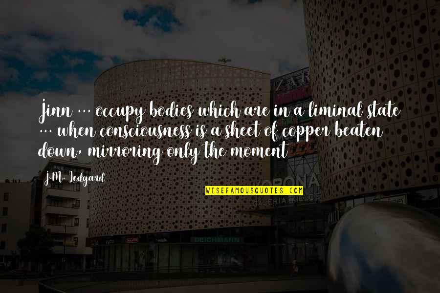 Occultations Of Stars Quotes By J.M. Ledgard: Jinn ... occupy bodies which are in a Occultations Of Stars Quotes By J.M. Ledgard: Jinn ... occupy bodies which are in a