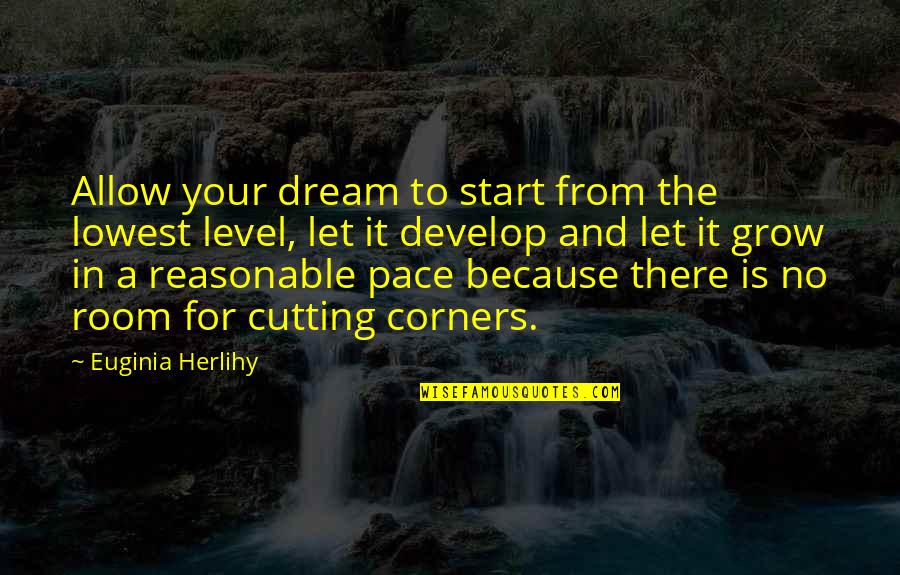 Occupational Hazard Quotes By Euginia Herlihy: Allow your dream to start from the lowest