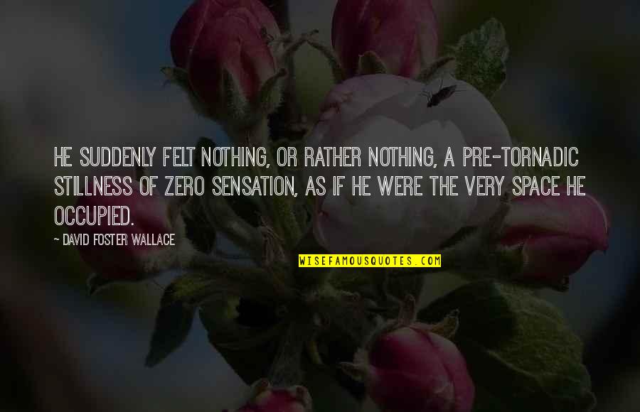 Occupied Quotes By David Foster Wallace: He suddenly felt nothing, or rather Nothing, a