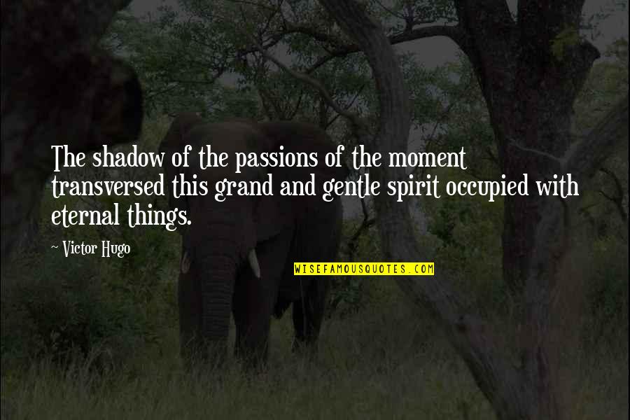 Occupied Quotes By Victor Hugo: The shadow of the passions of the moment