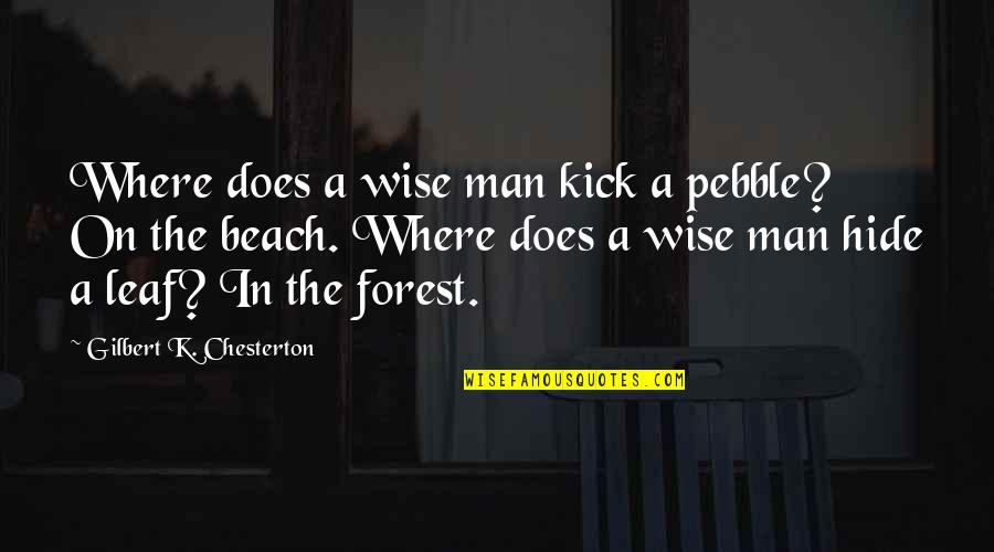 Ocean And Beach Quotes By Gilbert K. Chesterton: Where does a wise man kick a pebble?