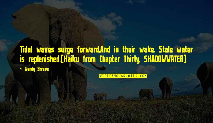Ocean And Nature Quotes By Wendy Shreve: Tidal waves surge forward,And in their wake, Stale Ocean And Nature Quotes By Wendy Shreve: Tidal waves surge forward,And in their wake, Stale