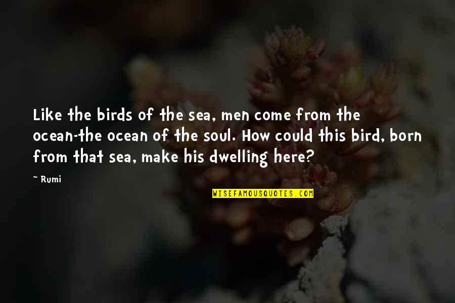 Ocean And Soul Quotes By Rumi: Like the birds of the sea, men come
