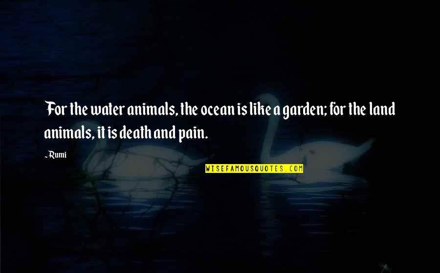 Ocean Animals Quotes By Rumi: For the water animals, the ocean is like Ocean Animals Quotes By Rumi: For the water animals, the ocean is like