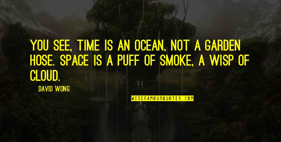 Ocean Of Time Quotes By David Wong: You see, time is an ocean, not a