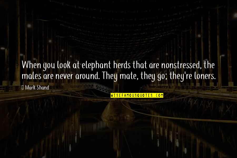 Ocean Sailor Love Quotes By Mark Shand: When you look at elephant herds that are