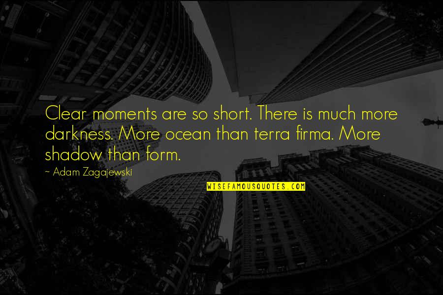 Ocean Short Quotes By Adam Zagajewski: Clear moments are so short. There is much