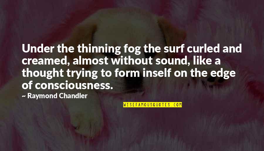 Ocean Sound Quotes By Raymond Chandler: Under the thinning fog the surf curled and