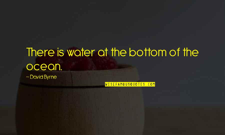 Ocean Water Quotes By David Byrne: There is water at the bottom of the
