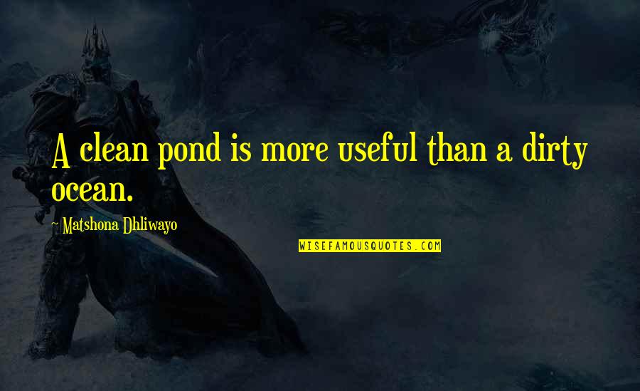 Ocean Wisdom Quotes By Matshona Dhliwayo: A clean pond is more useful than a Ocean Wisdom Quotes By Matshona Dhliwayo: A clean pond is more useful than a