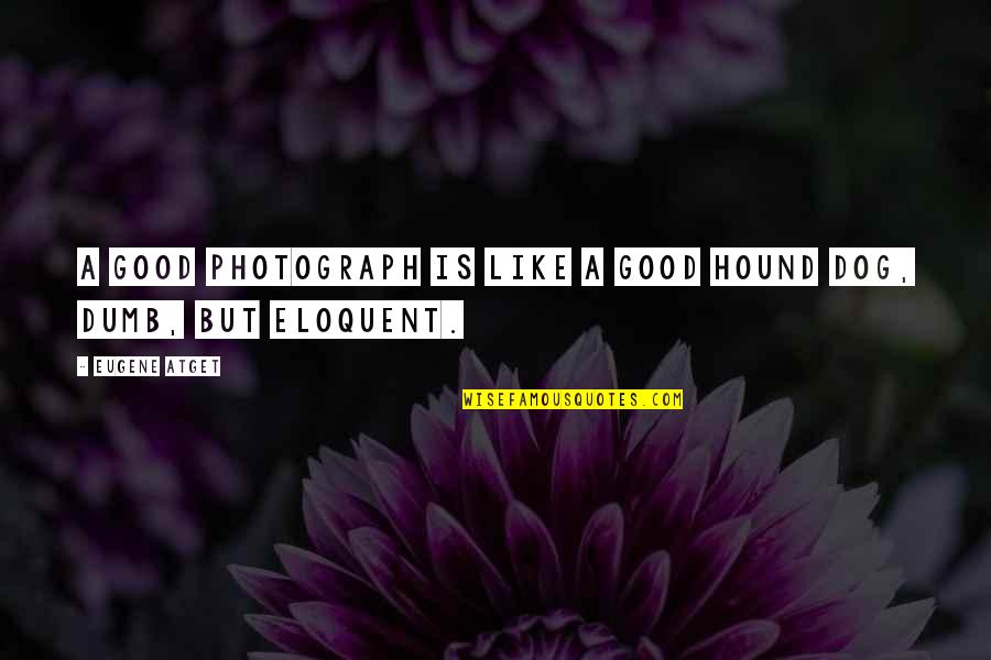 Oceano Hotel And Spa Quotes By Eugene Atget: A good photograph is like a good hound