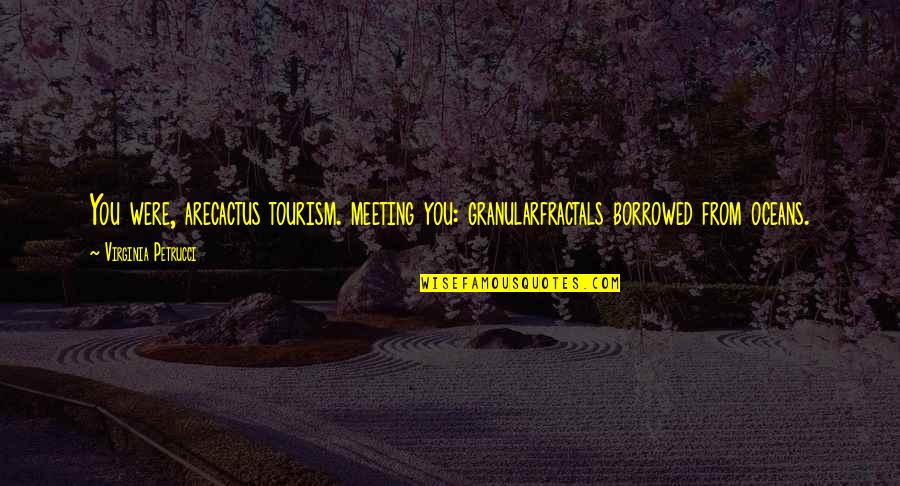 Oceans Meeting Quotes By Virginia Petrucci: You were, arecactus tourism. meeting you: granularfractals borrowed