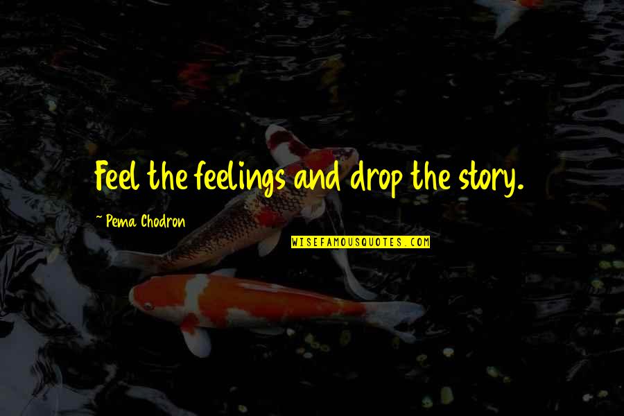 Oceans Rise Quotes By Pema Chodron: Feel the feelings and drop the story.