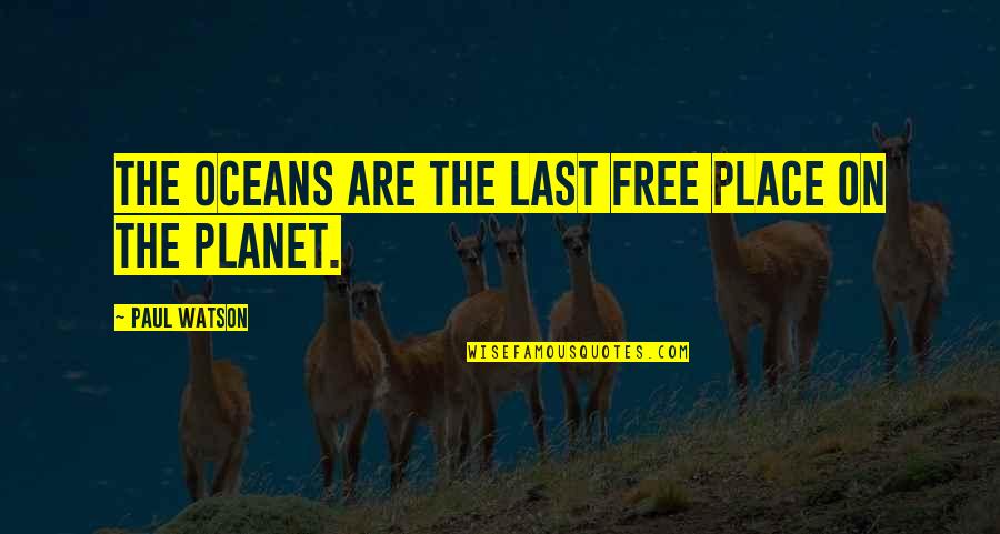 Oceans's Quotes By Paul Watson: The oceans are the last free place on