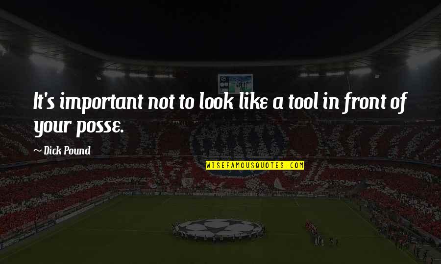 Ochab Greg Quotes By Dick Pound: It's important not to look like a tool