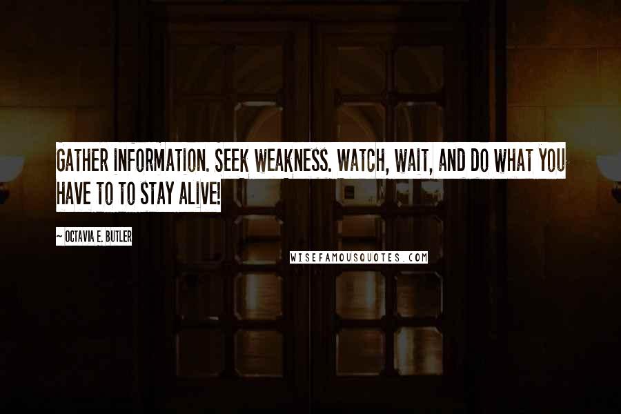 Octavia E. Butler quotes: Gather information. Seek weakness. Watch, wait, and do what you have to to stay alive!