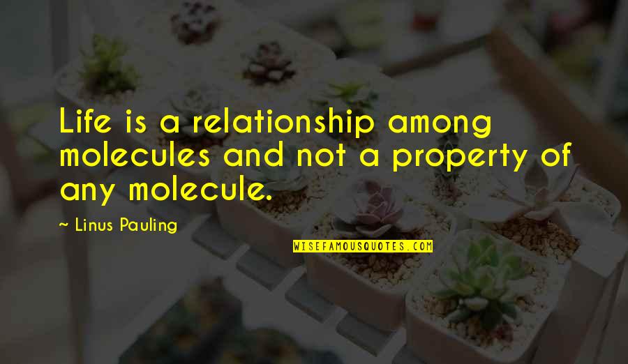 Octavian Augustus Quotes By Linus Pauling: Life is a relationship among molecules and not