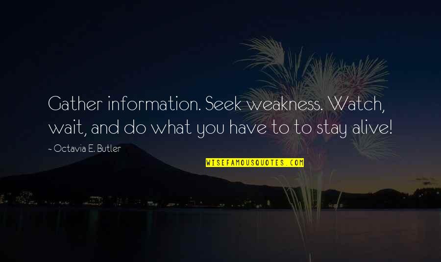Octavia's Quotes By Octavia E. Butler: Gather information. Seek weakness. Watch, wait, and do Octavia's Quotes By Octavia E. Butler: Gather information. Seek weakness. Watch, wait, and do