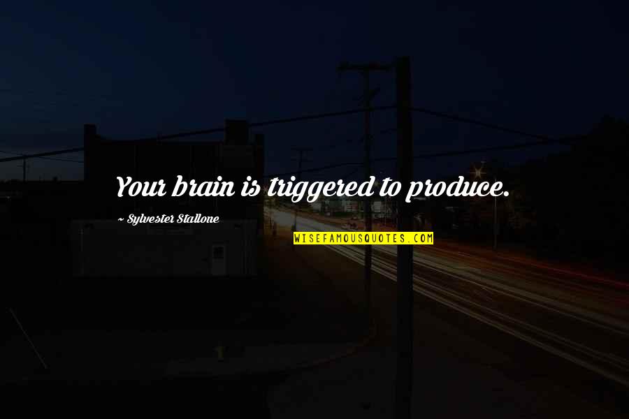 Octavos Champions Quotes By Sylvester Stallone: Your brain is triggered to produce.