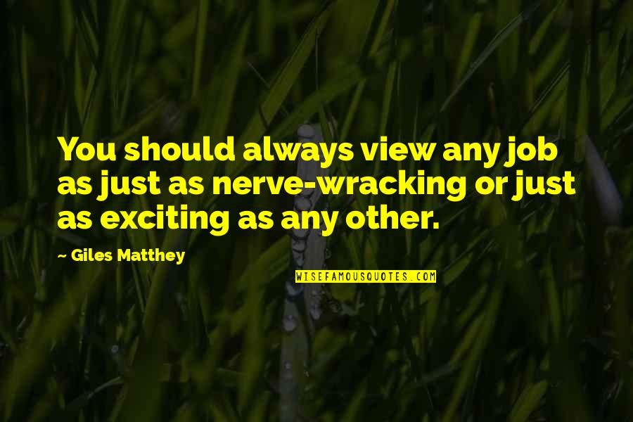 Ocultandose Quotes By Giles Matthey: You should always view any job as just Ocultandose Quotes By Giles Matthey: You should always view any job as just