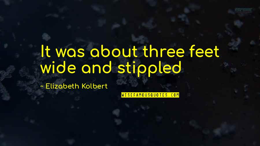 Ocurrira Lleva Quotes By Elizabeth Kolbert: It was about three feet wide and stippled Ocurrira Lleva Quotes By Elizabeth Kolbert: It was about three feet wide and stippled