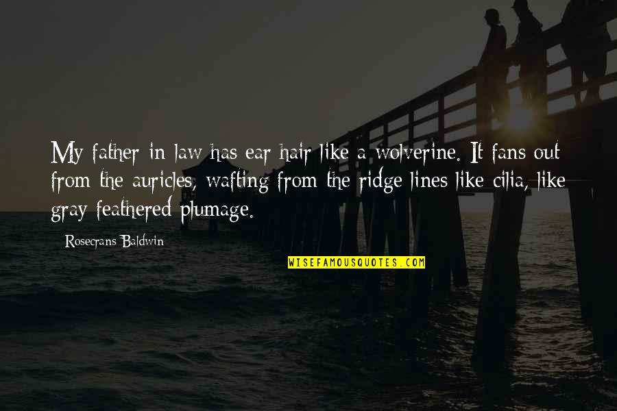 Odabasi Lisa Quotes By Rosecrans Baldwin: My father-in-law has ear hair like a wolverine.